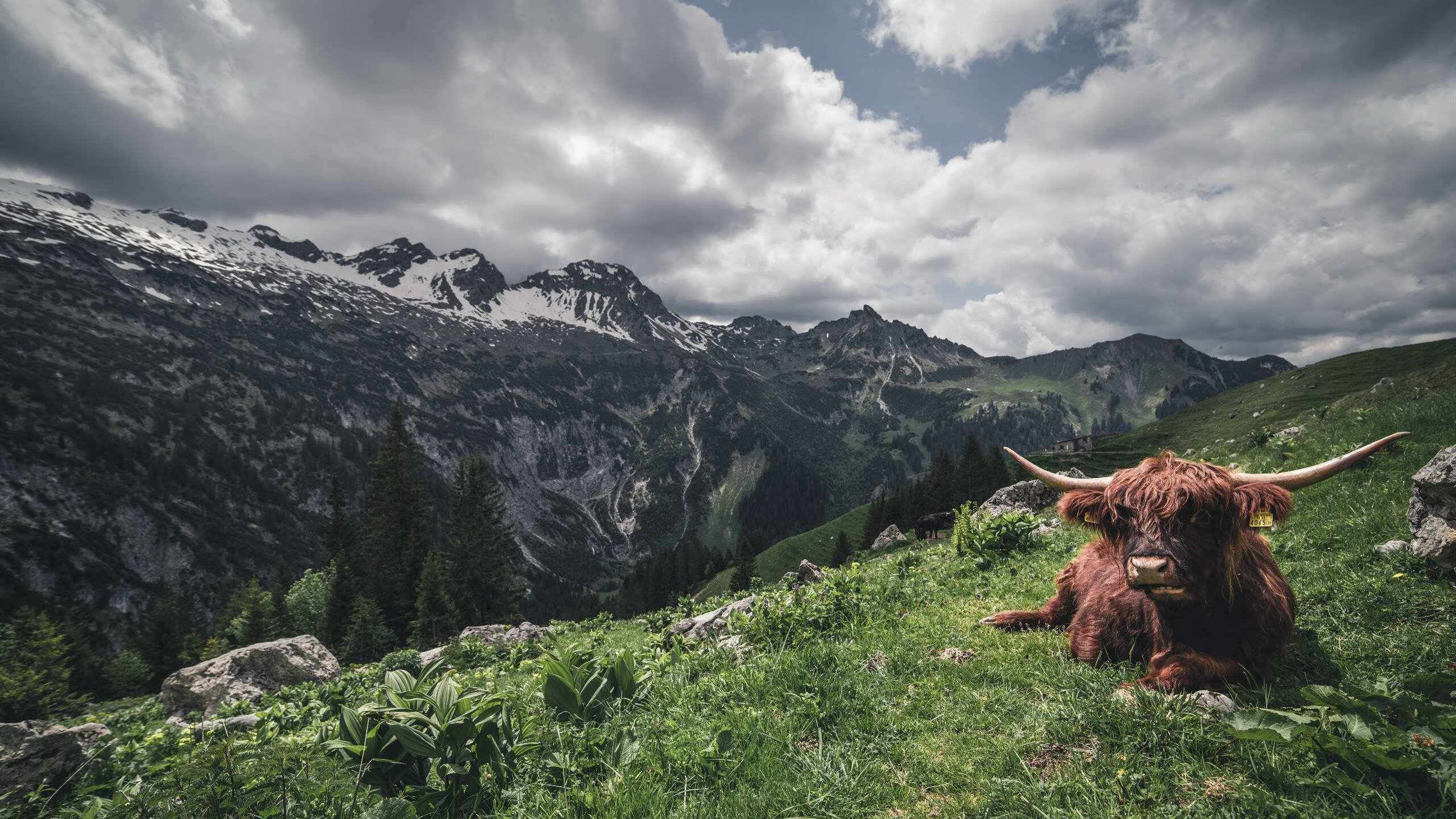 开云官方网站-2022年总决赛：库里在关键时刻几次神级远投，让对手完全无解，夺冠瞬间令人难忘